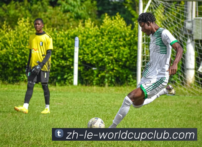 App Interface Preview