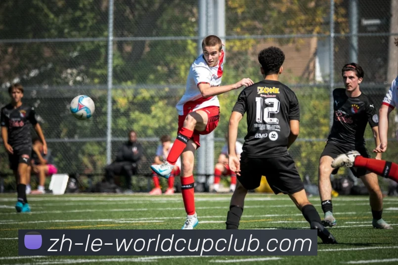 世界杯买球APP 封面图